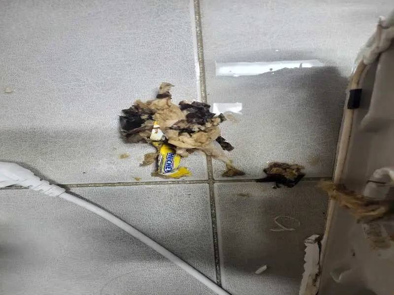 과천 배관 이물질 제거 사례